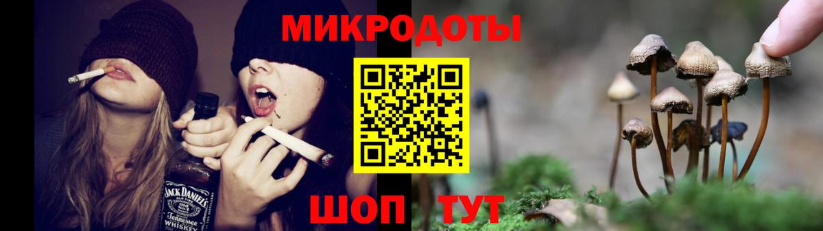 Галлюциногенные грибы Cubensis Кашира